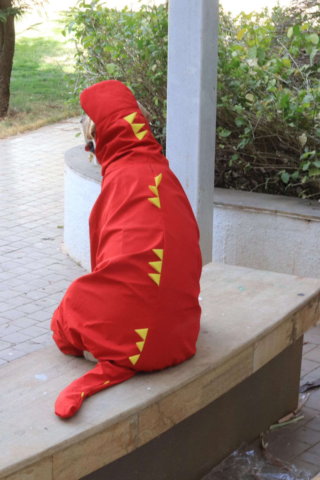 Dinosaur-Style Dog Raincoat