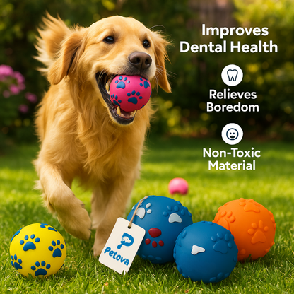 Squeaky Ball for Dogs Pack of 2