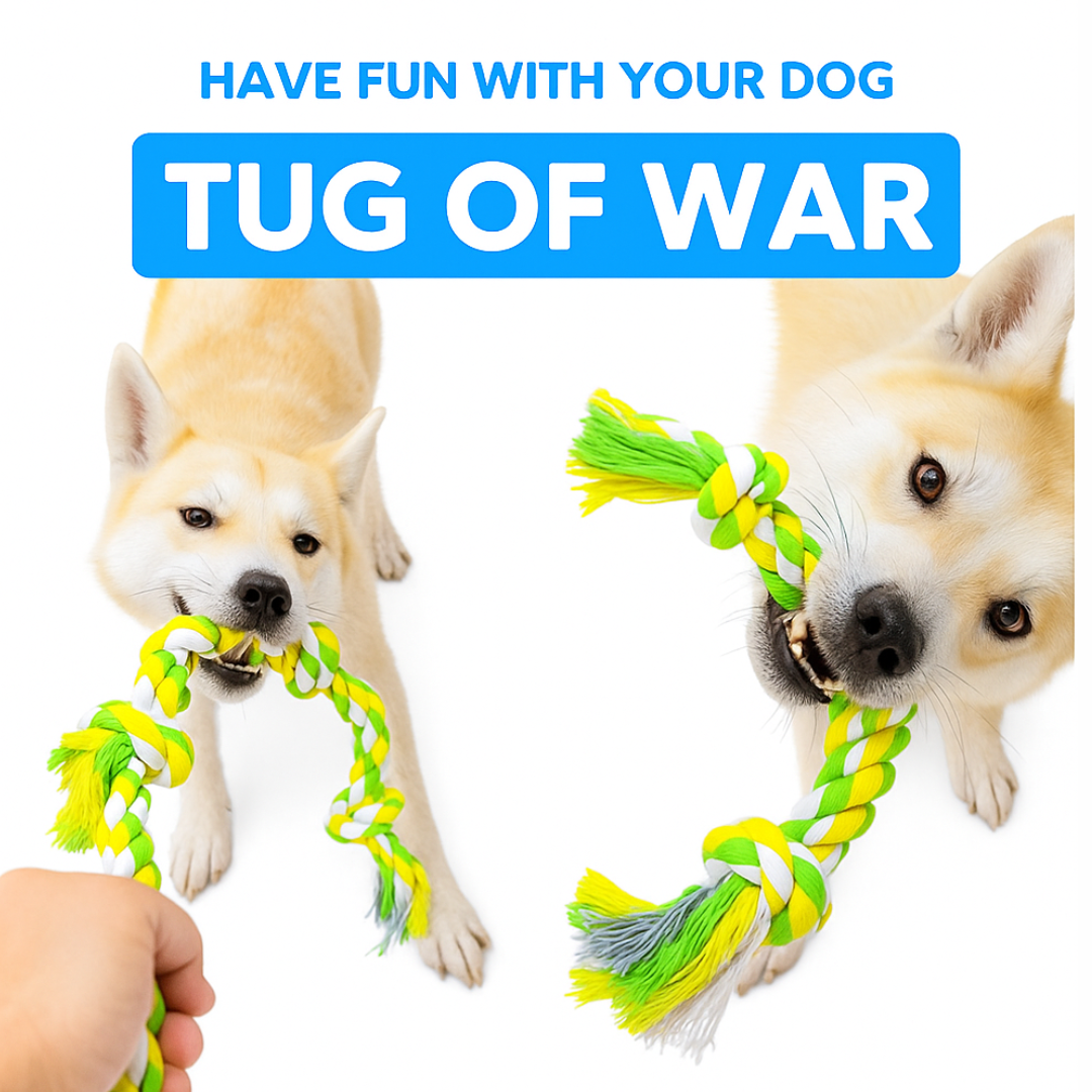 Four Knot Rope Toy for Dogs