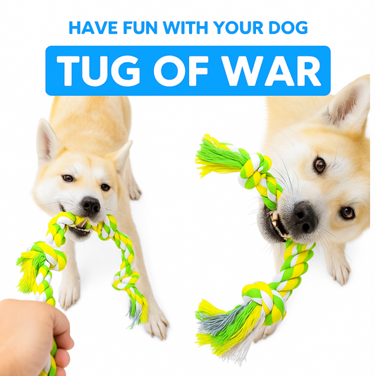 Four Knot Rope Toy for Dogs