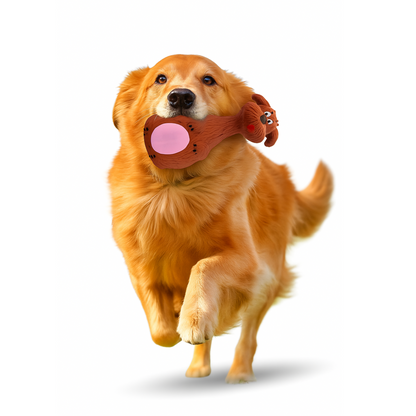 Natural Latex Rubber Squeaky Chew Toy