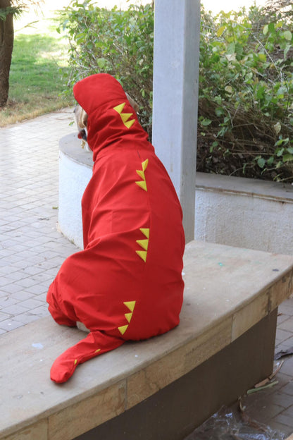 Dinosaur-Style Dog Raincoat