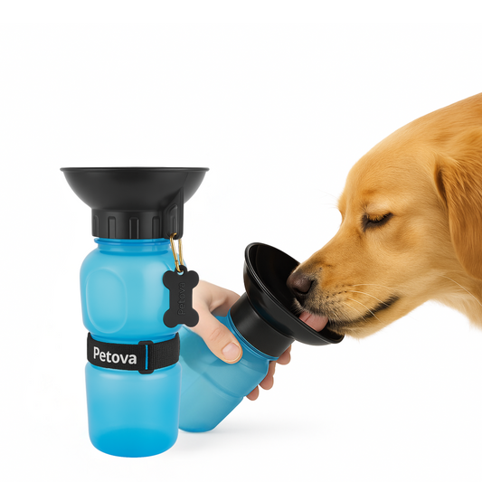 Dog Water Bottle with Bowl-350ml