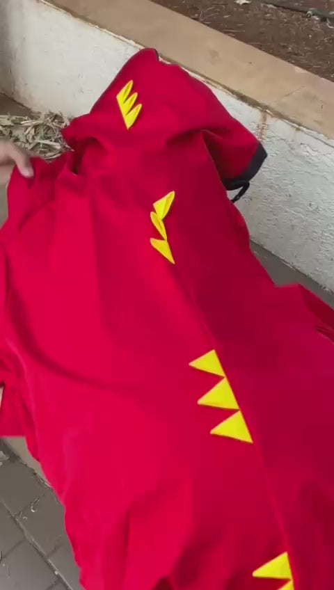Dinosaur-Style Dog Raincoat